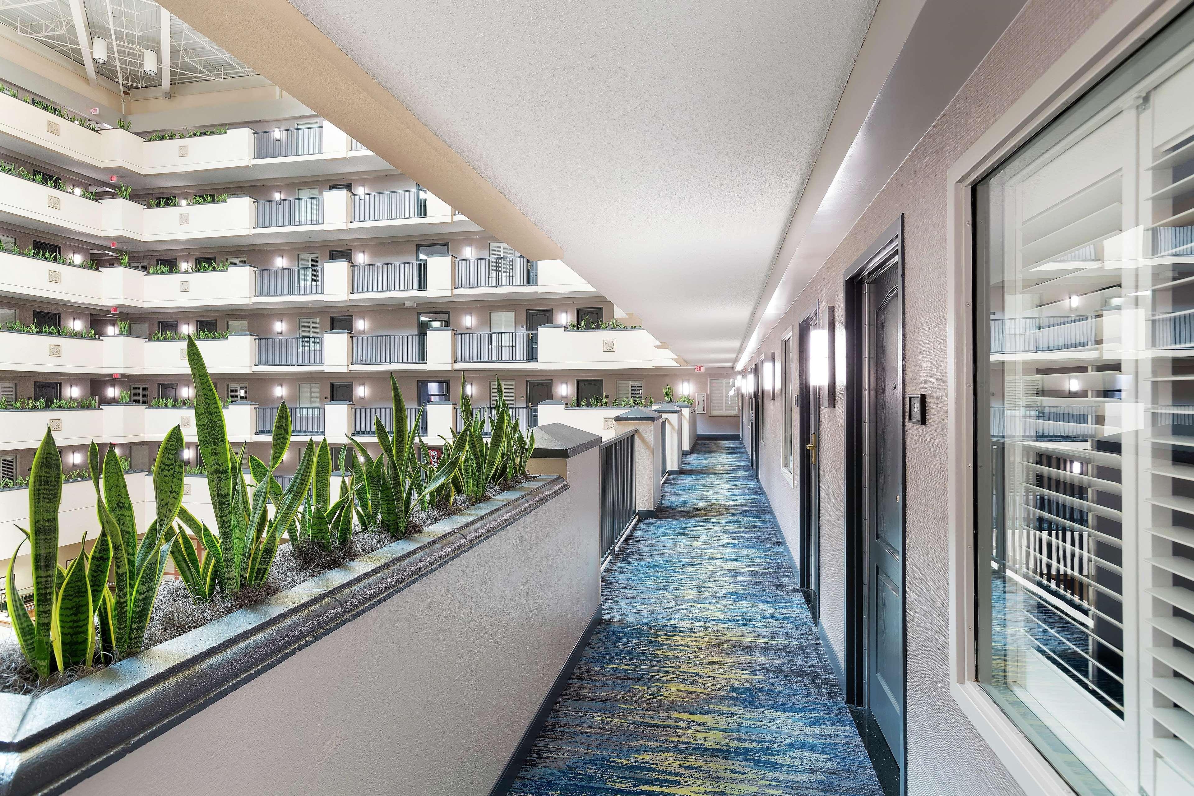 Embassy Suites By Hilton Orlando Airport Екстер'єр фото